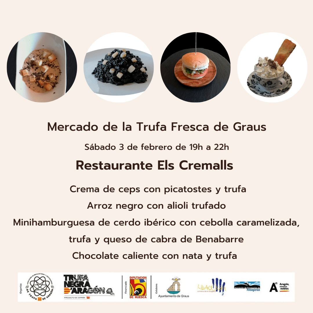 trufa graus